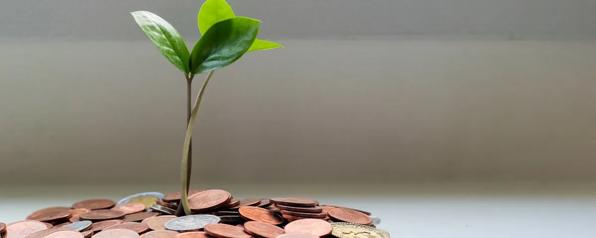 Ilustrácia k článku Ako začať investovať aj s 50 eurami mesačne